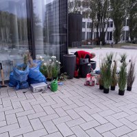 Skyoffice Begrünung