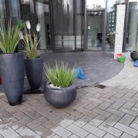 Skyoffice Begrünung