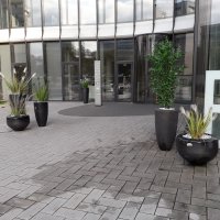 Skyoffice Begrünung