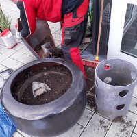 Skyoffice Begrünung