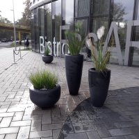 Skyoffice Begrünung