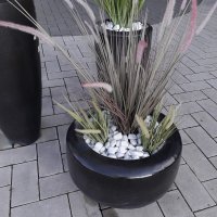 Skyoffice Begrünung