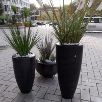 Skyoffice Begrünung