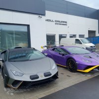 Reinigung Außenanlage Bentley
